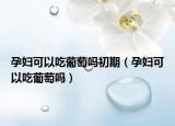 孕妇可以吃葡萄吗初期（孕妇可以吃葡萄吗）
