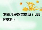 刘娥儿子赵吉结局（LEEP技术）