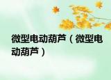 微型电动葫芦（微型电动葫芦）