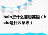 halo是什么意思英语（halo是什么意思）
