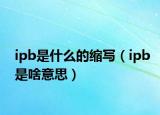ipb是什么的缩写（ipb是啥意思）