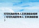 可可托海的牧羊人王琪演唱会视频（可可托海的牧羊人 王琪演唱歌曲）
