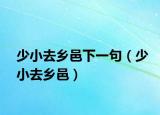 少小去乡邑下一句（少小去乡邑）