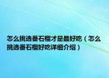 怎么挑选番石榴才是最好吃（怎么挑选番石榴好吃详细介绍）