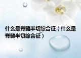 什么是脊髓半切综合征（什么是脊髓半切综合征）