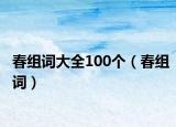 春组词大全100个（春组词）