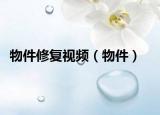 物件修复视频（物件）