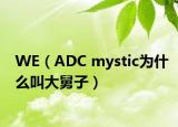 WE（ADC mystic为什么叫大舅子）