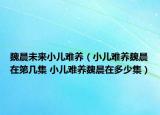 魏晨未来小儿难养（小儿难养魏晨在第几集 小儿难养魏晨在多少集）