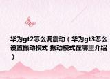 华为gt2怎么调震动（华为gt3怎么设置振动模式 振动模式在哪里介绍）