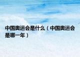 中国奥运会是什么（中国奥运会是哪一年）