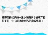 被嫌弃的松子的一生小说摘抄（被嫌弃的松子的一生 山田宗树创作的小说作品）