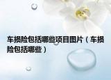 车损险包括哪些项目图片（车损险包括哪些）