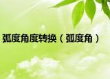 弧度角度转换（弧度角）