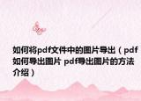 如何将pdf文件中的图片导出（pdf如何导出图片 pdf导出图片的方法介绍）