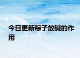 今日更新粽子放碱的作用