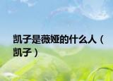 凯子是薇娅的什么人（凯子）