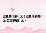 蓝色的代表什么（蓝色代表着什么 蓝色象征什么）