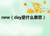 new（day是什么意思）