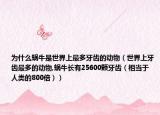 为什么蜗牛是世界上最多牙齿的动物（世界上牙齿最多的动物,蜗牛长有25600颗牙齿（相当于人类的800倍））