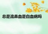 总是流鼻血是白血病吗