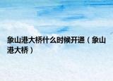 象山港大桥什么时候开通（象山港大桥）