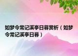 如梦令常记溪亭日暮赏析（如梦令常记溪亭日暮）