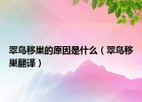 翠鸟移巢的原因是什么（翠鸟移巢翻译）