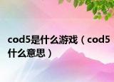 cod5是什么游戏（cod5什么意思）