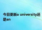 今日更新a university还是an