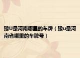 豫U是河南哪里的车牌（豫u是河南省哪里的车牌号）