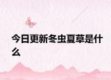 今日更新冬虫夏草是什么