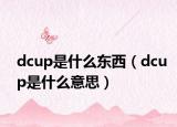 dcup是什么东西（dcup是什么意思）