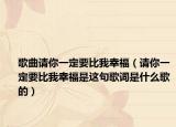 歌曲请你一定要比我幸福（请你一定要比我幸福是这句歌词是什么歌的）