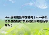 vivo屏幕刷新率在哪调（vivo手机怎么设置帧数 怎么设置屏幕刷新率介绍）