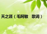 天之涯（毛阿敏   歌词）