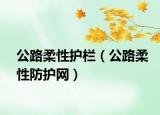 公路柔性护栏（公路柔性防护网）
