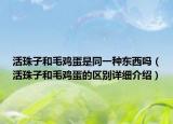 活珠子和毛鸡蛋是同一种东西吗（活珠子和毛鸡蛋的区别详细介绍）