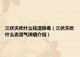 三伏天吃什么祛湿排毒（三伏天吃什么去湿气详细介绍）
