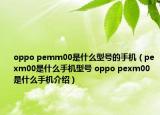 oppo pemm00是什么型号的手机（pexm00是什么手机型号 oppo pexm00是什么手机介绍）