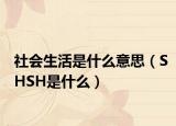 社会生活是什么意思（SHSH是什么）
