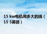15 kw电机用多大的线（15 5英镑）