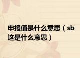 申报值是什么意思（sb这是什么意思）