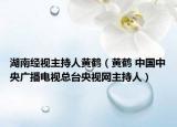 湖南经视主持人黄鹤（黄鹤 中国中央广播电视总台央视网主持人）