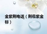 金紫荆电话（荆苞紫金标）