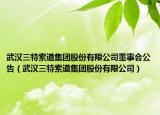 武汉三特索道集团股份有限公司董事会公告（武汉三特索道集团股份有限公司）