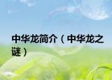 中华龙简介（中华龙之谜）