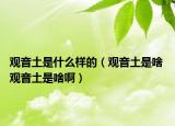 观音土是什么样的（观音土是啥 观音土是啥啊）