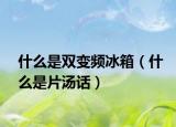 什么是双变频冰箱（什么是片汤话）