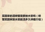 买回家的活螃蟹需要放水里吗（螃蟹买回家放水里能活多久详细介绍）
